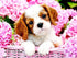 Puppy in Flower Basket